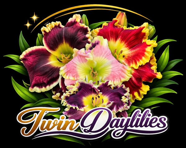 Twin Daylilies